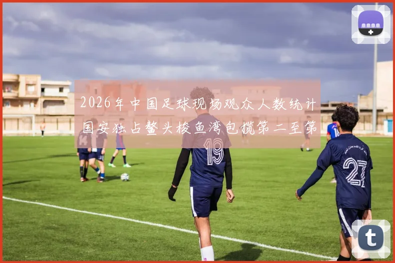 2026年中国足球现场观众人数统计国安独占鳌头梭鱼湾包揽第二至第七位