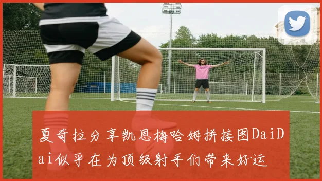 夏奇拉分享凯恩梅哈姆拼接图DaiDai似乎在为顶级射手们带来好运